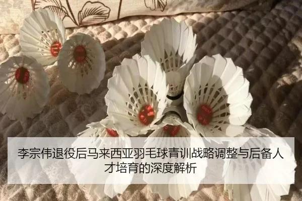 李宗伟退役后马来西亚羽毛球青训战略调整与后备人才培育的深度解析（TIANBO SPORTS）